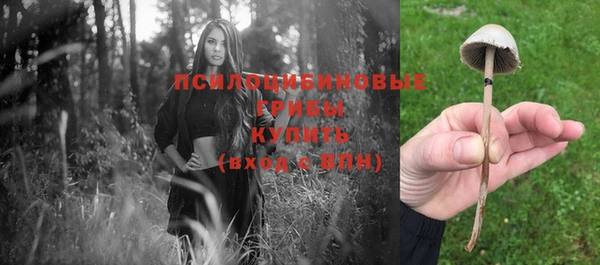 ешки Козловка