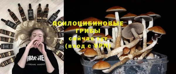 apvp Карпинск