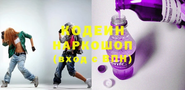 крисы Каменка