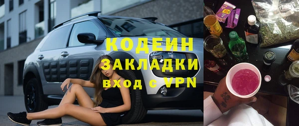 индика Коряжма