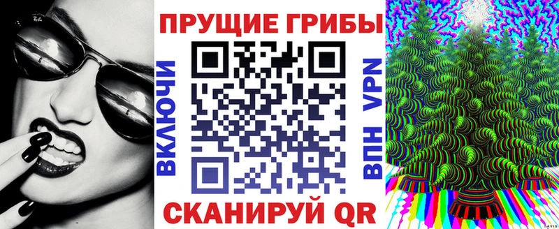 Псилоцибиновые грибы прущие грибы Карталы